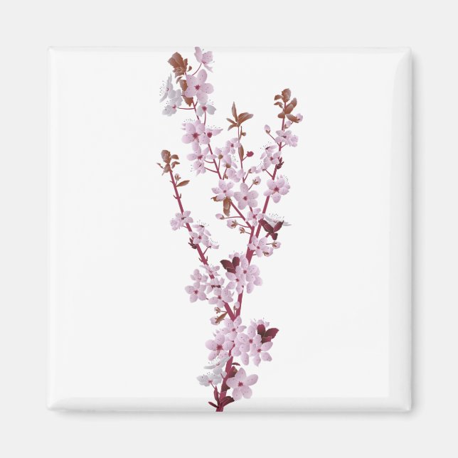 Cherry Blossom Cherry Tree 2 Magnet (Front)