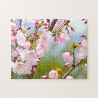 Cherry Blossom Close Up Jigsaw Puzzle