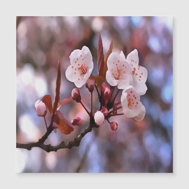 Cherry Blossom Cluster With A Pink and Blue  (Front)