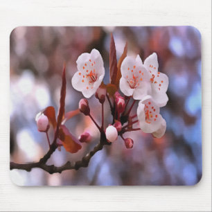Cherry Blossom Cluster With A Pink and Blue  Mouse Pad