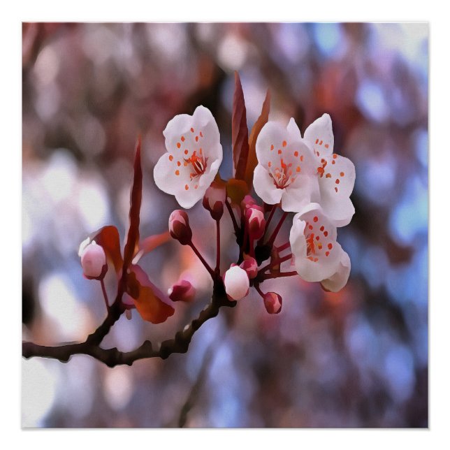 Cherry Blossom Cluster With A Pink and Blue  Poster (Front)