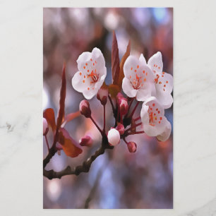 Cherry Blossom Cluster With A Pink and Blue Stationery