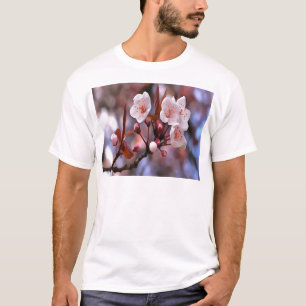 Cherry Blossom Cluster With A Pink and Blue T-Shirt