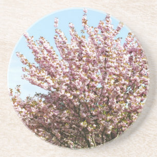 Cherry Blossom Coaster
