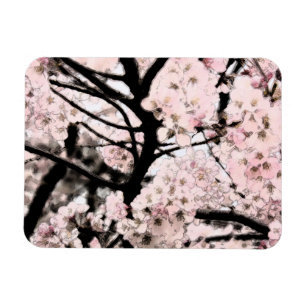 Cherry Blossom Edited Magnet