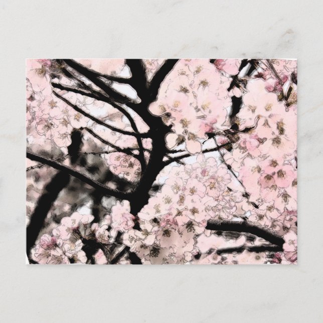 Cherry Blossom Edited Postcard (Front)