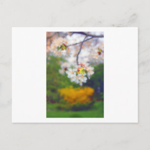 Cherry Blossom Fantasy Postcard