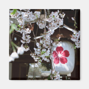 Cherry Blossom Festival in Kyoto  Magnet