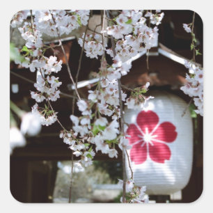 Cherry Blossom Festival in Kyoto  Square Sticker