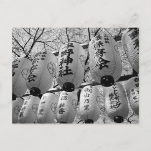 Cherry Blossom Festival Lanterns: Kyoto, Japan Postcard