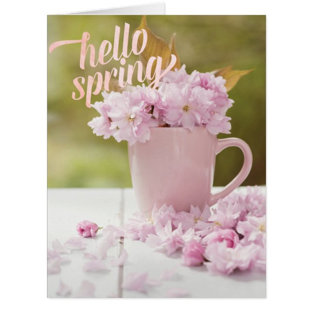 Cherry Blossom Flower Floral Stilllife Spring Text (Front)