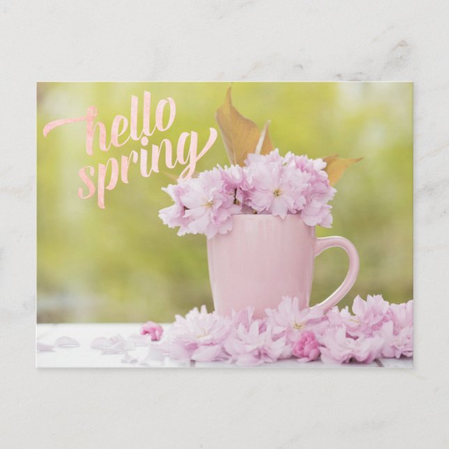 Cherry Blossom Flower Floral Stilllife Spring Text Postcard (Front)