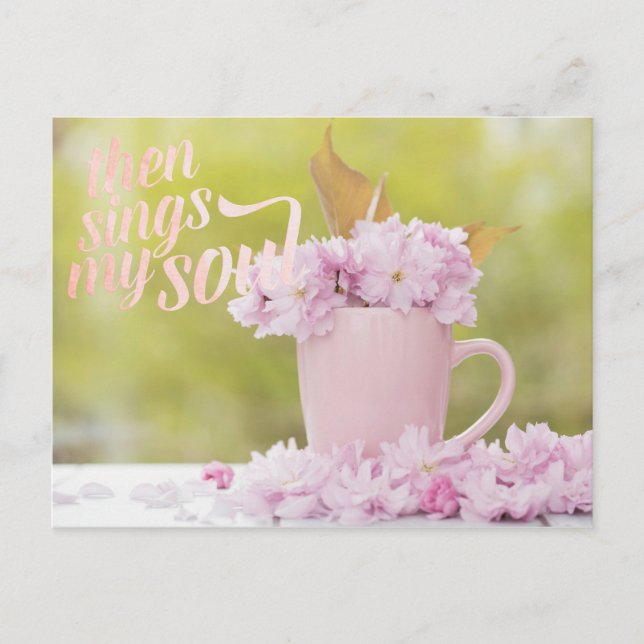 Cherry Blossom Flower Floral Stilllife Spring Text Postcard (Front)