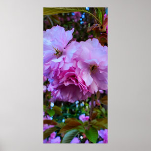 Cherry Blossom Flowers Poster