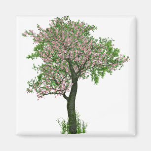 Cherry Blossom Flowers Tree Branches Leaves Magnet