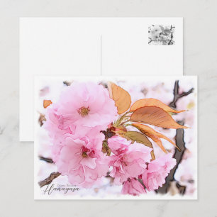 Cherry Blossom "Hanagasa" Postcard