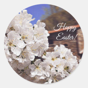 Cherry Blossom. Happy Easter. Classic Round Sticker
