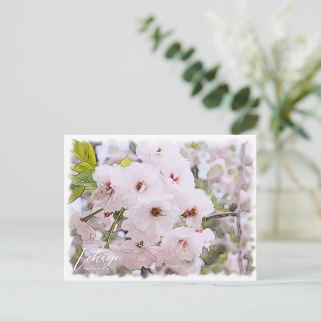 Cherry Blossom "Ichiyo" Postcard (Standing Front)