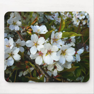 Cherry Blossom II Mouse Pad