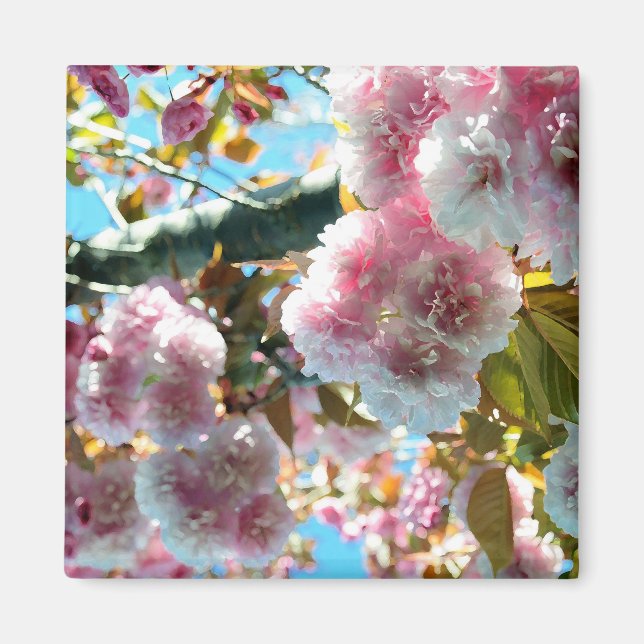 Cherry Blossom Impression Magnet (Front)