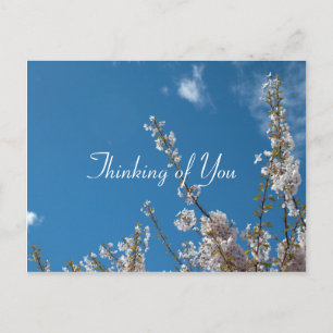 cherry blossom in blue sky thinking of you postcard
