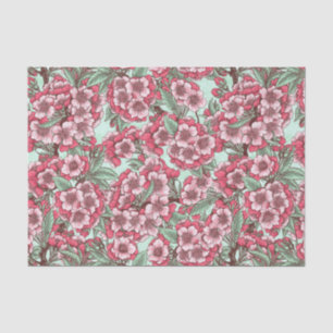 Cherry blossom in pink and mint tissue paper