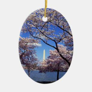 Cherry blossom in Washington DC Ceramic Ornament