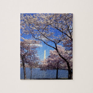 Cherry blossom in Washington DC Jigsaw Puzzle