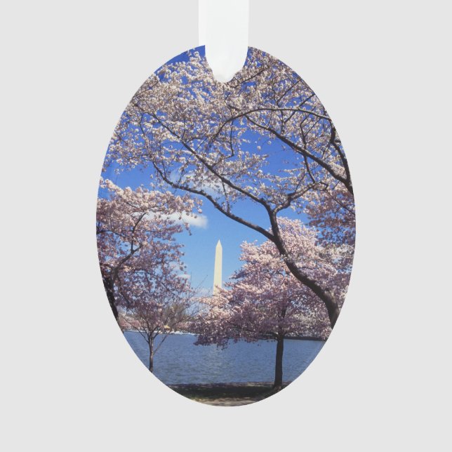 Cherry blossom in Washington DC Photo Ornament (Front)