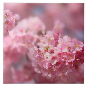Cherry blossom Japan floral pink pretty unique Cer Ceramic Tile