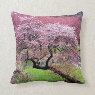 Cherry Blossom Lane Cushion