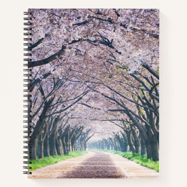 Cherry Blossom Lane Notebook (Front)
