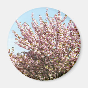 Cherry Blossom Magnet