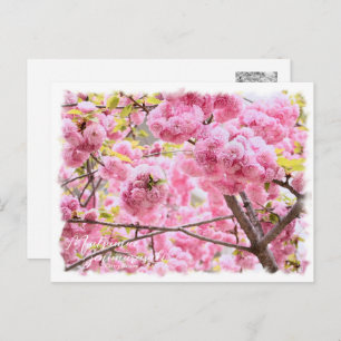 Cherry Blossom "Matsumae-benimurasaki" Postcard