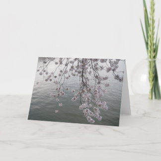 cherry blossom minus crowd card