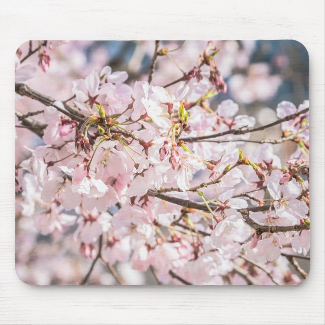 Cherry Blossom Mouse Pad (Front)