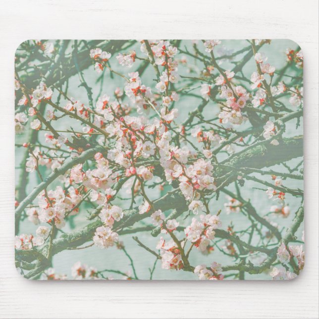 Cherry blossom mouse pad (Front)
