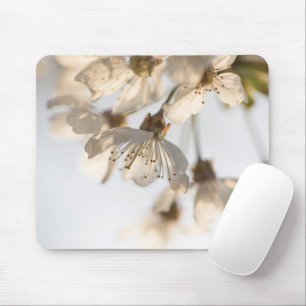 Cherry Blossom Nature Photo Mouse Pad