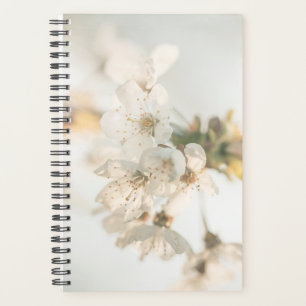 Cherry Blossom Nature Photo Planner