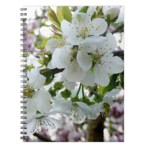Cherry Blossom Notebook