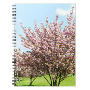 Cherry Blossom Notebook