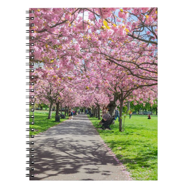 Cherry blossom notebook (Front)