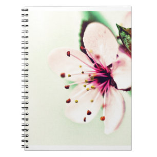 Cherry Blossom Notebook