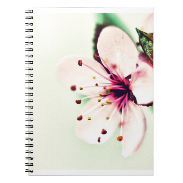 Cherry Blossom Notebook (Front)