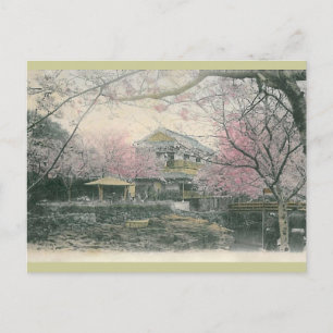 Cherry Blossom of Nakashima, Nagasaki Japan Postcard