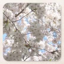 Cherry Blossom paper coasters
