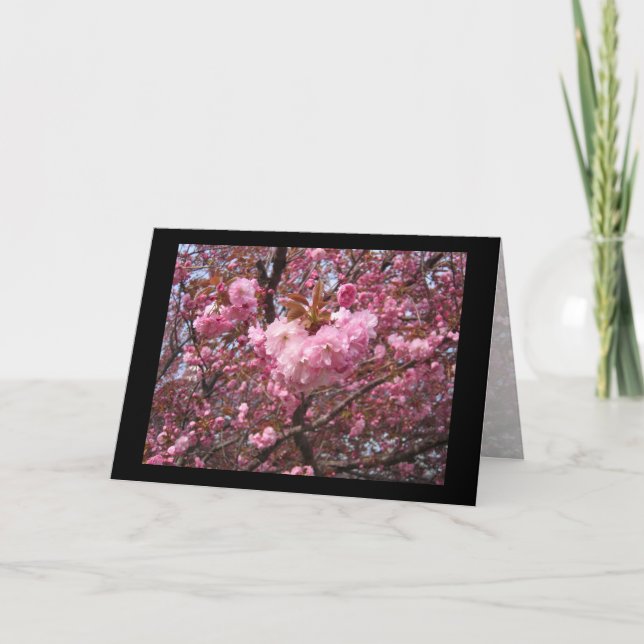 Cherry Blossom Pink Greeting Card (Front)