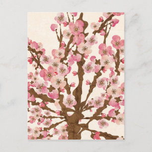 Cherry Blossom Postcard