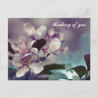 Cherry Blossom Postcard 1