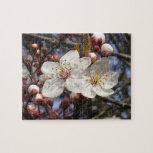 Cherry Blossom Puzzle